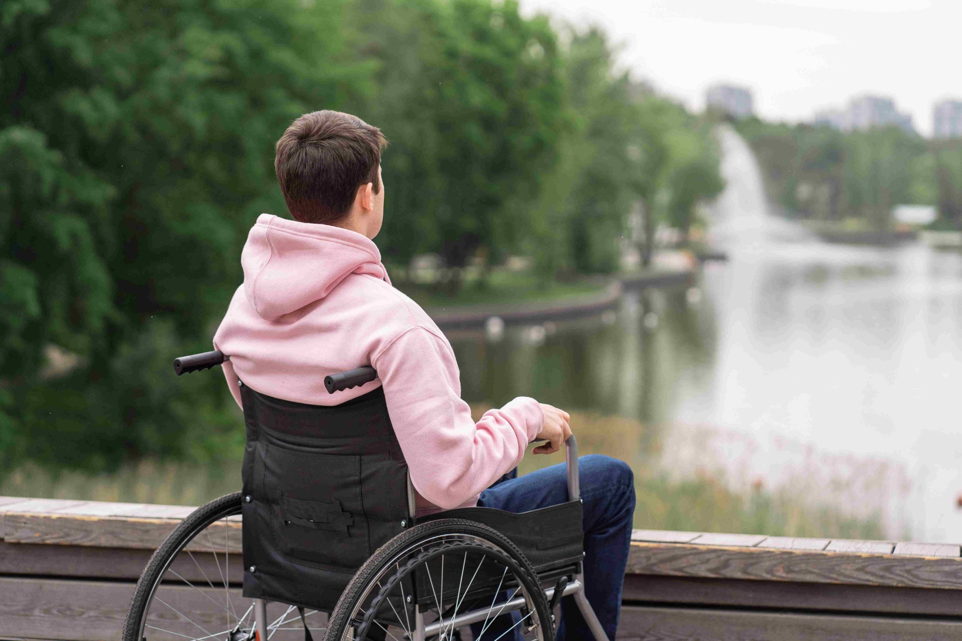 Man in a wheelchair wearing a hoodie, viewed from behind in a park setting.