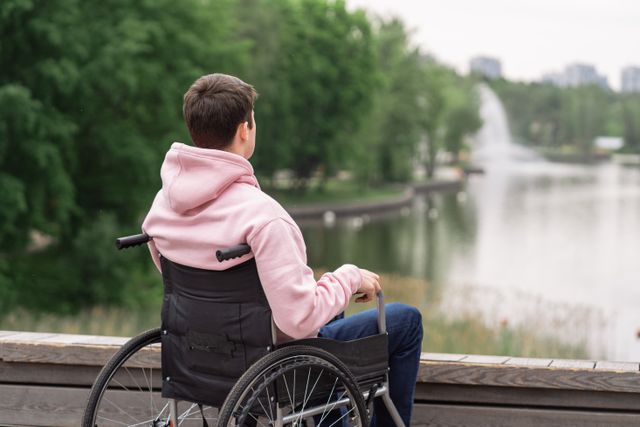 Man in a wheelchair wearing a hoodie, viewed from behind in a park setting.